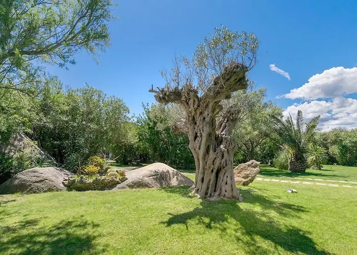 Elite Collection Giardino & Piscina شقة *