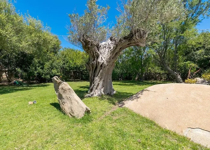 Elite Collection Giardino & Piscina * بورتو روتوندو