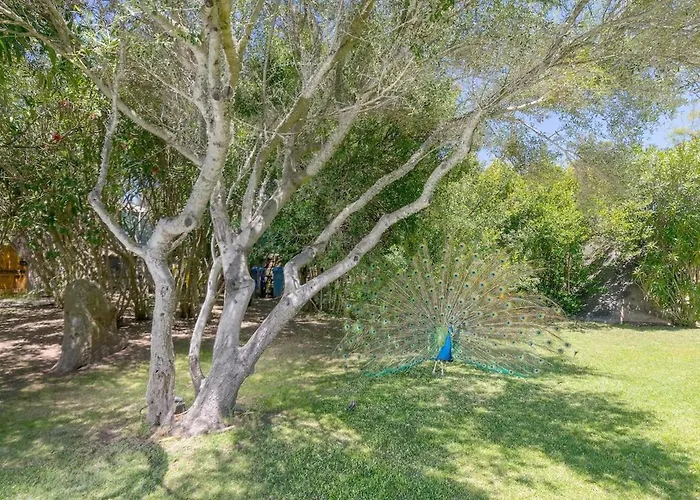 Elite Collection Giardino & Piscina شقة *